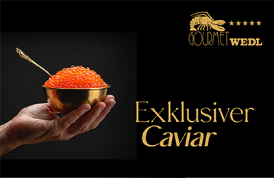 Der neue Caviar Katalog ist online! Der neue Caviar-Katalog 2025 ist da!