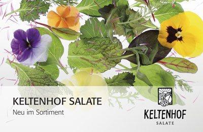 Salat Raritäten von Keltenhof